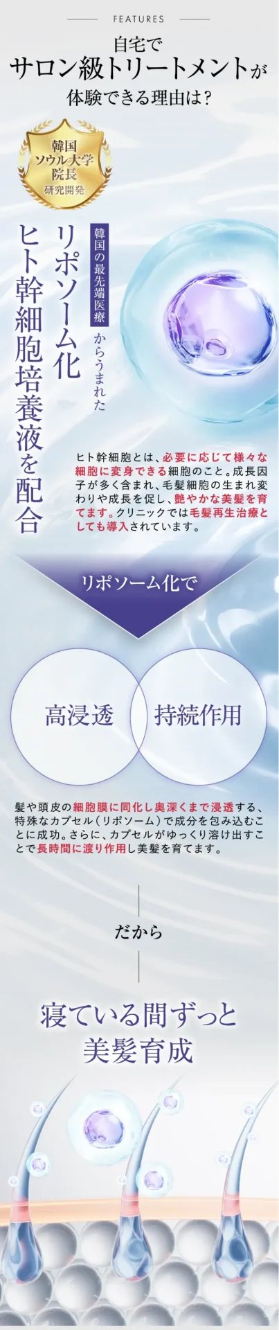 DIANA LP 制作物 8