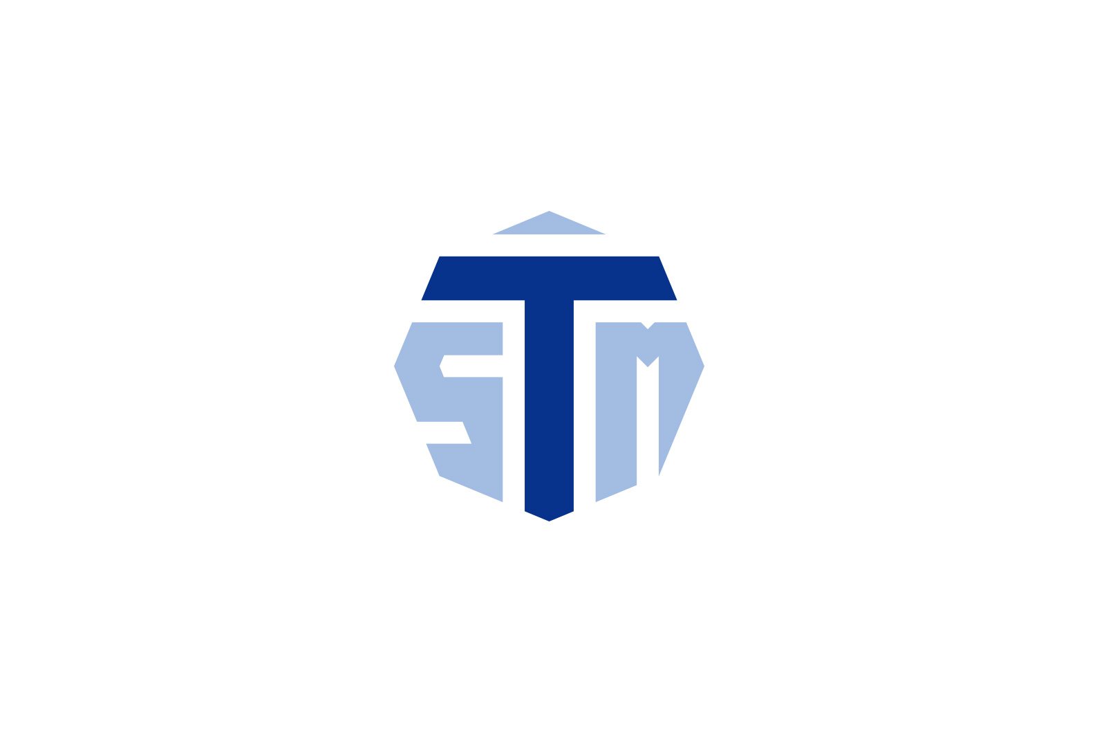 株式会社TSM 制作物 2